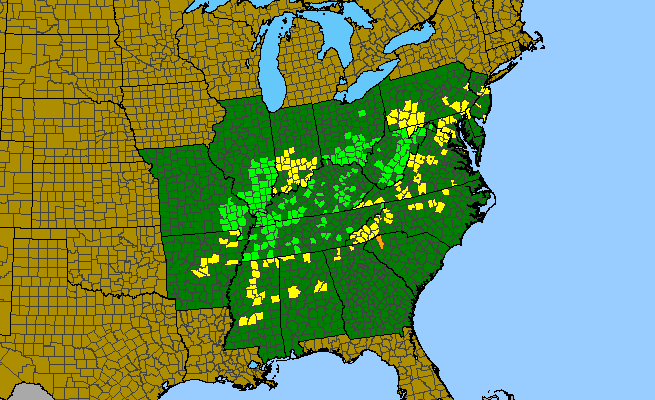 The range of Platanthera peramoena
